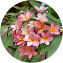 Ekaterina Borisova Ekaterina Borisova